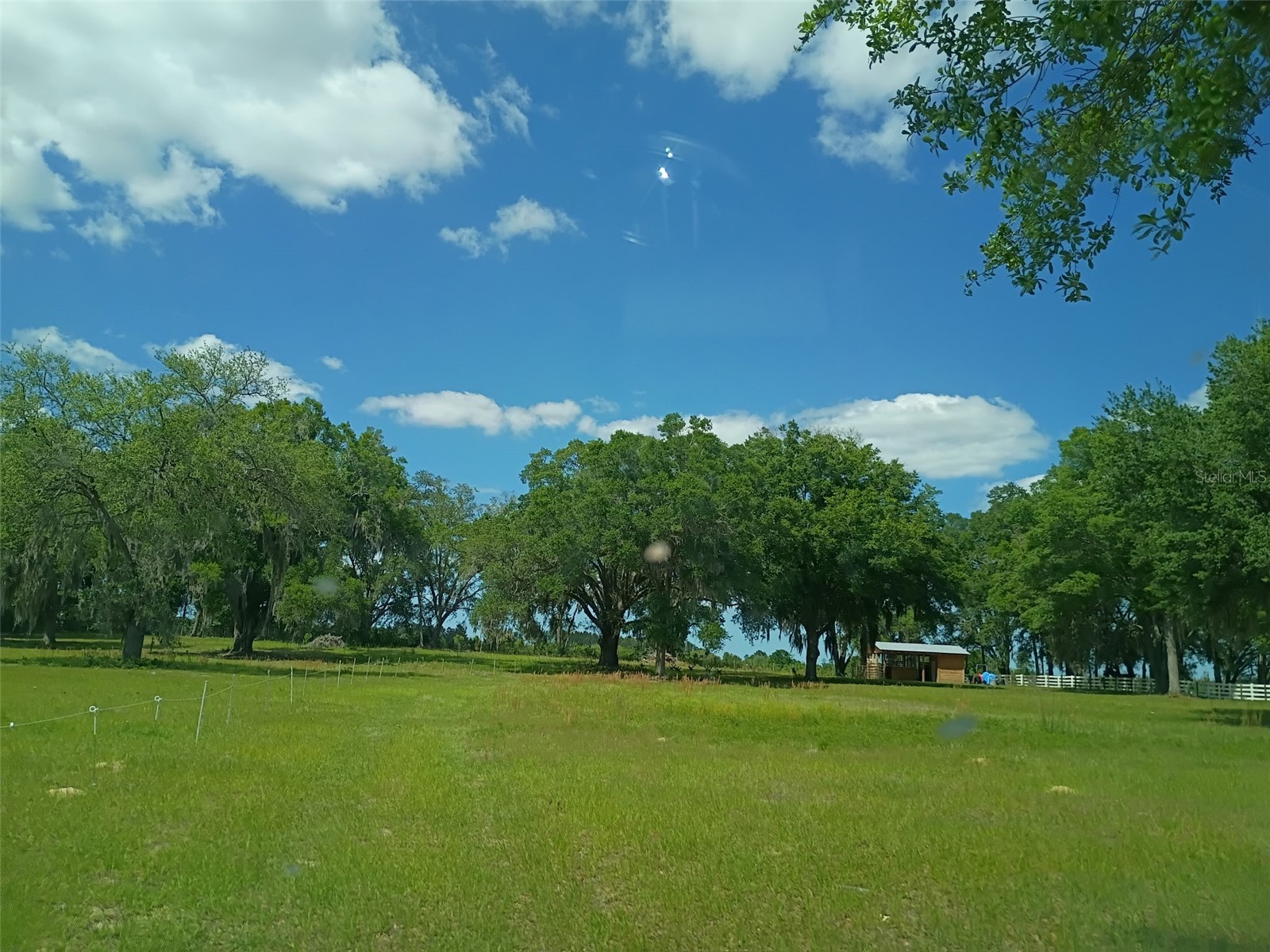 Lot #7 SE 66th Place Morriston FL 32668 OM721149 image1