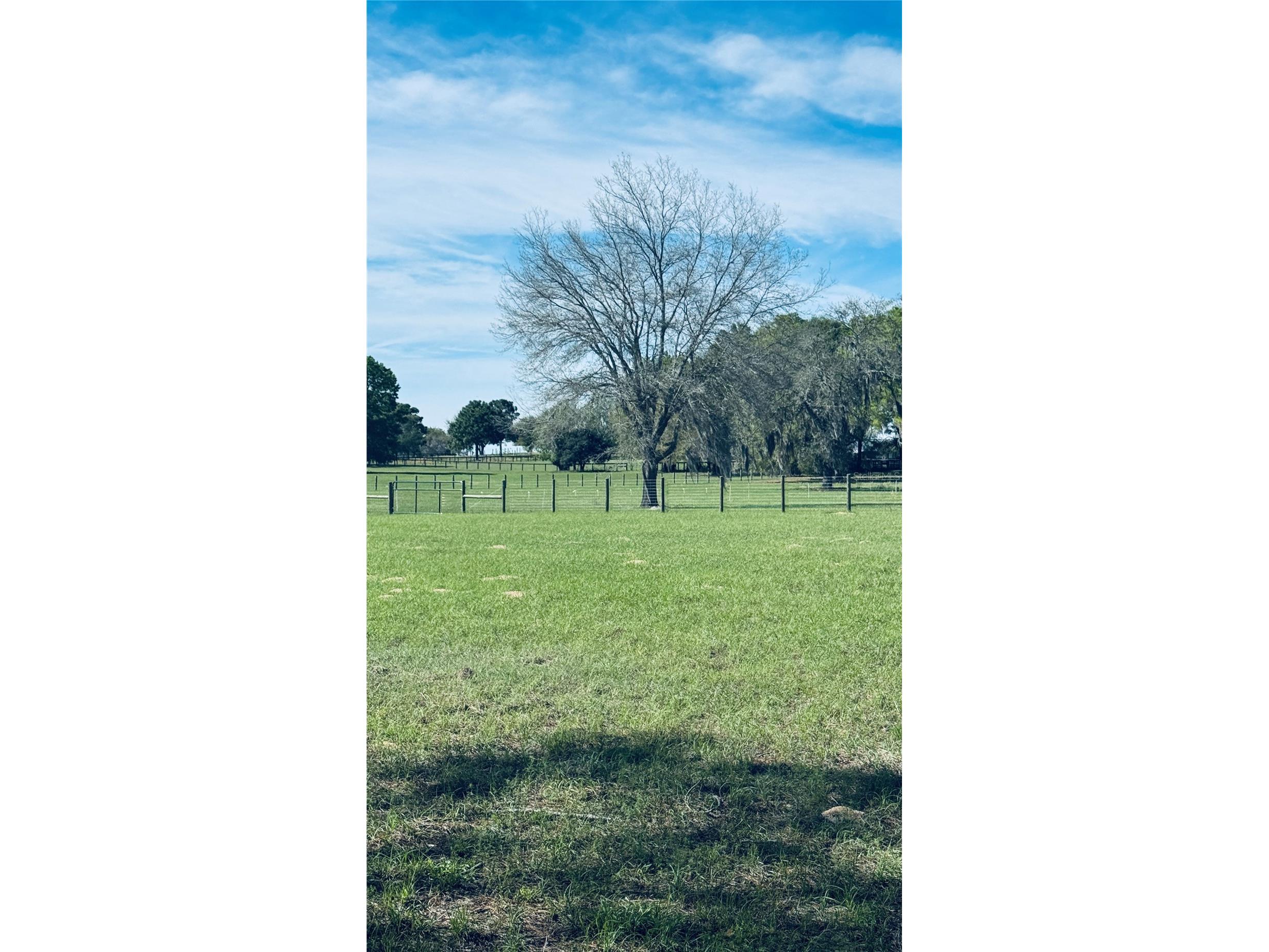 Lot #7 SE 66th Place Morriston FL 32668 OM721149 image15