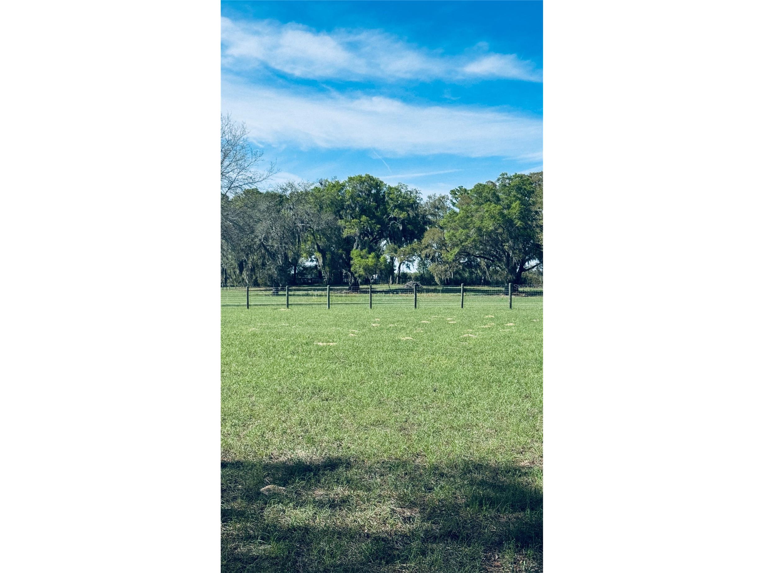 Lot #7 SE 66th Place Morriston FL 32668 OM721149 image16