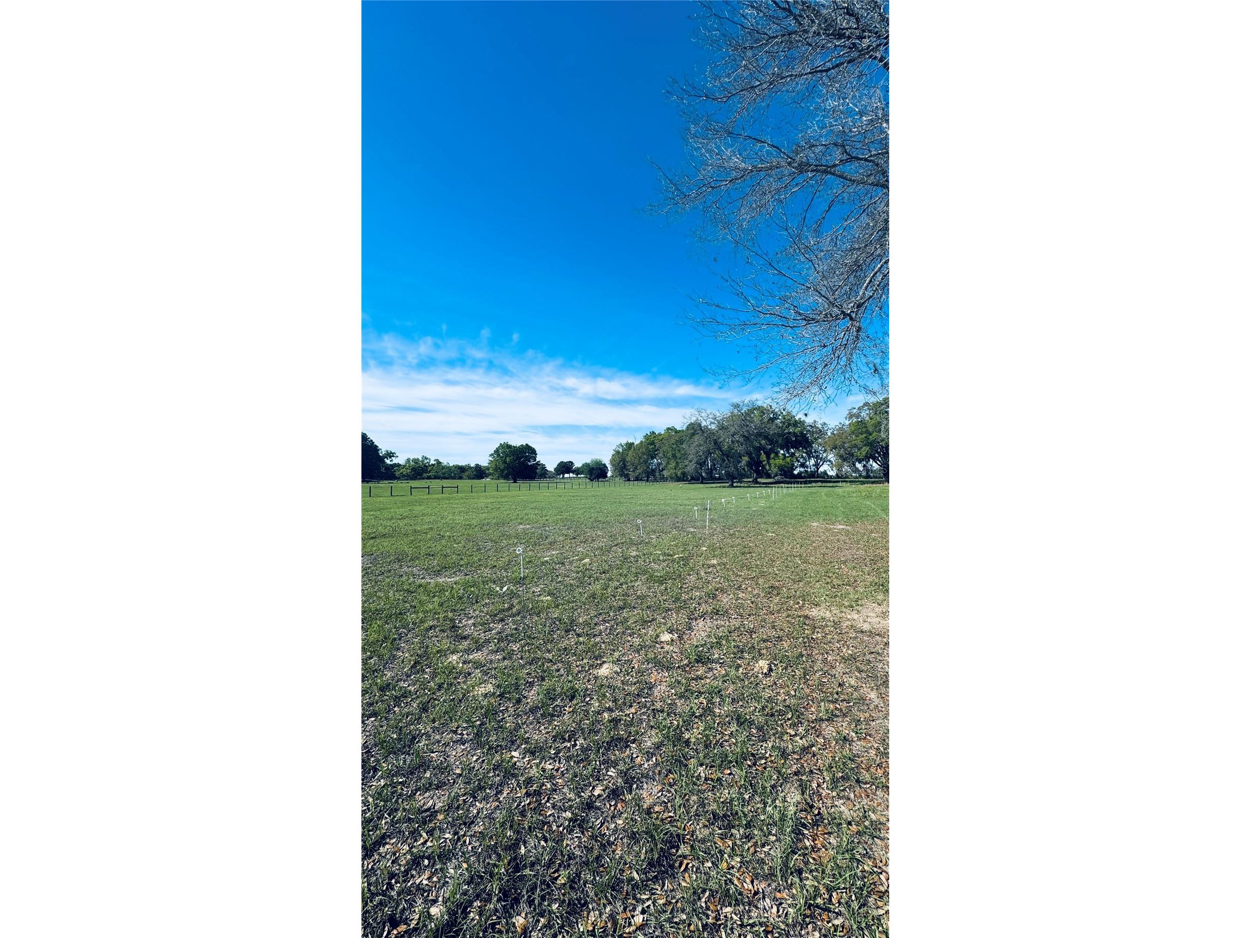 Lot #7 SE 66th Place Morriston FL 32668 OM721149 image17