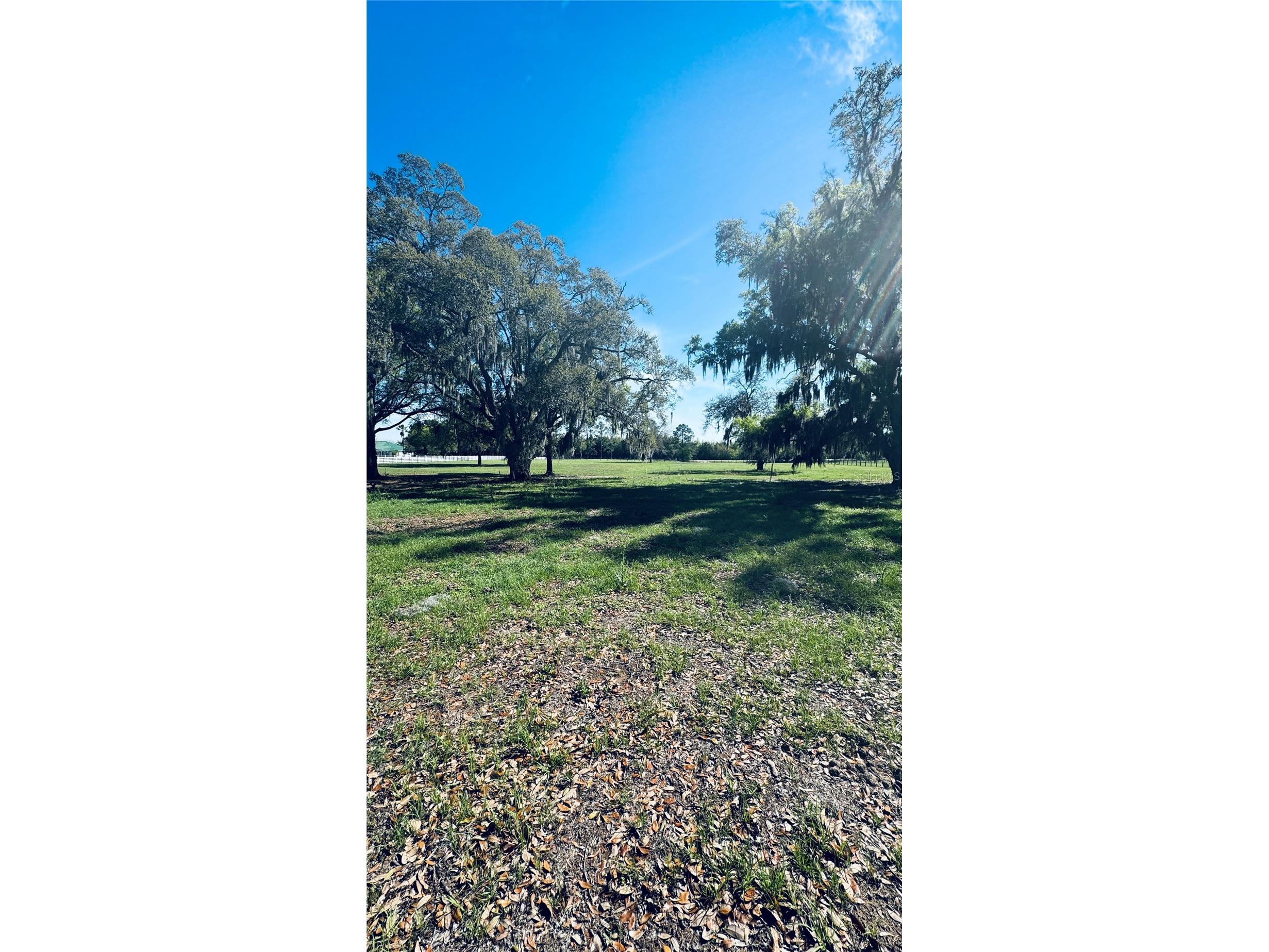 Lot #7 SE 66th Place Morriston FL 32668 OM721149 image18
