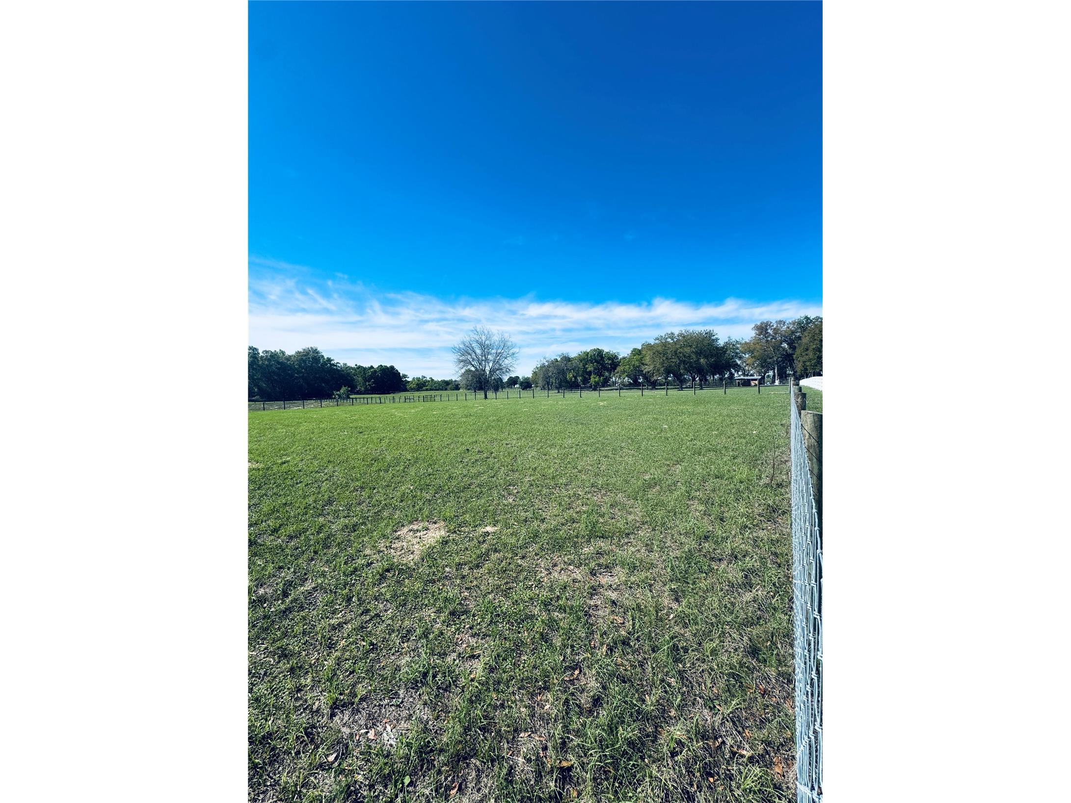 Lot #7 SE 66th Place Morriston FL 32668 OM721149 image19