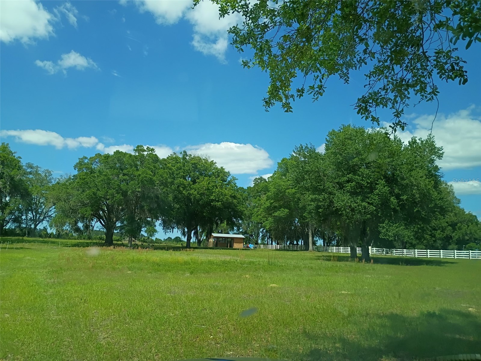 Lot #7 SE 66th Place Morriston FL 32668 OM721149 image2
