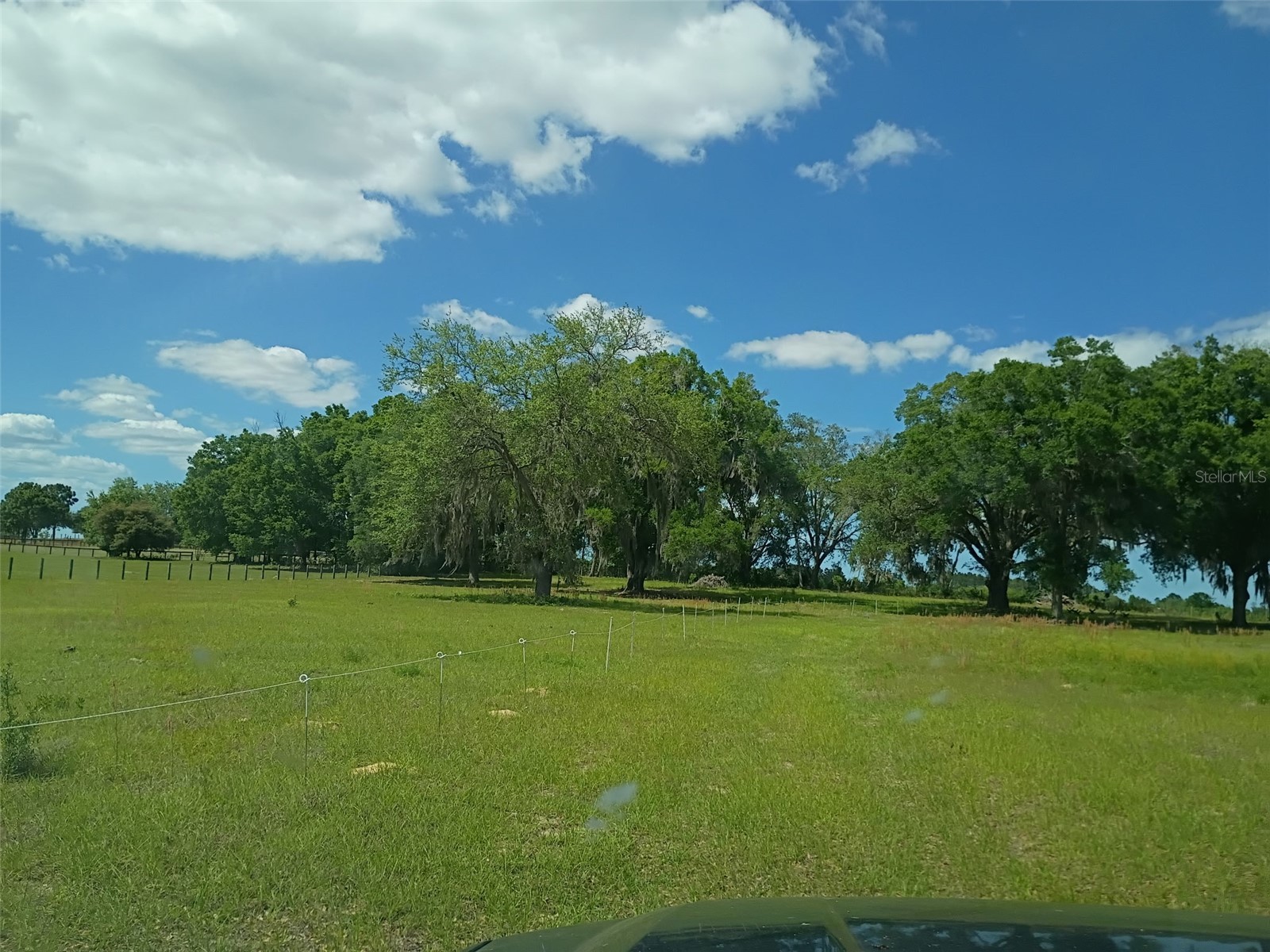 Lot #7 SE 66th Place Morriston FL 32668 OM721149 image3