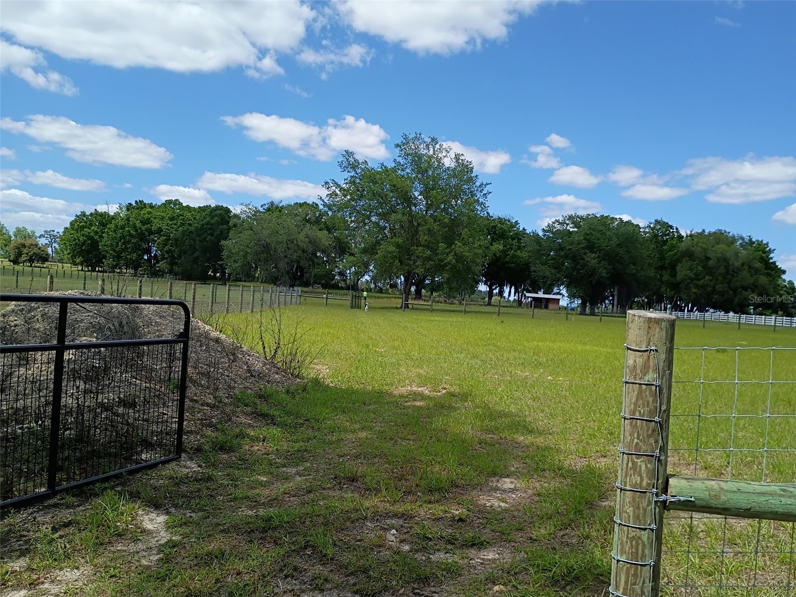 Lot #7 SE 66th Place Morriston FL 32668 OM721149 image4