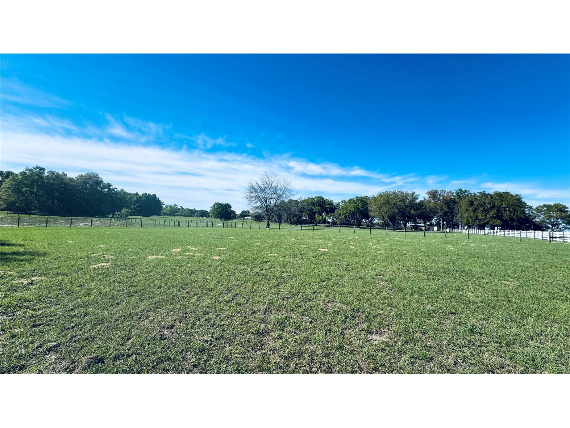 Lot #7 SE 66th Place Morriston FL 32668 OM721149 image5