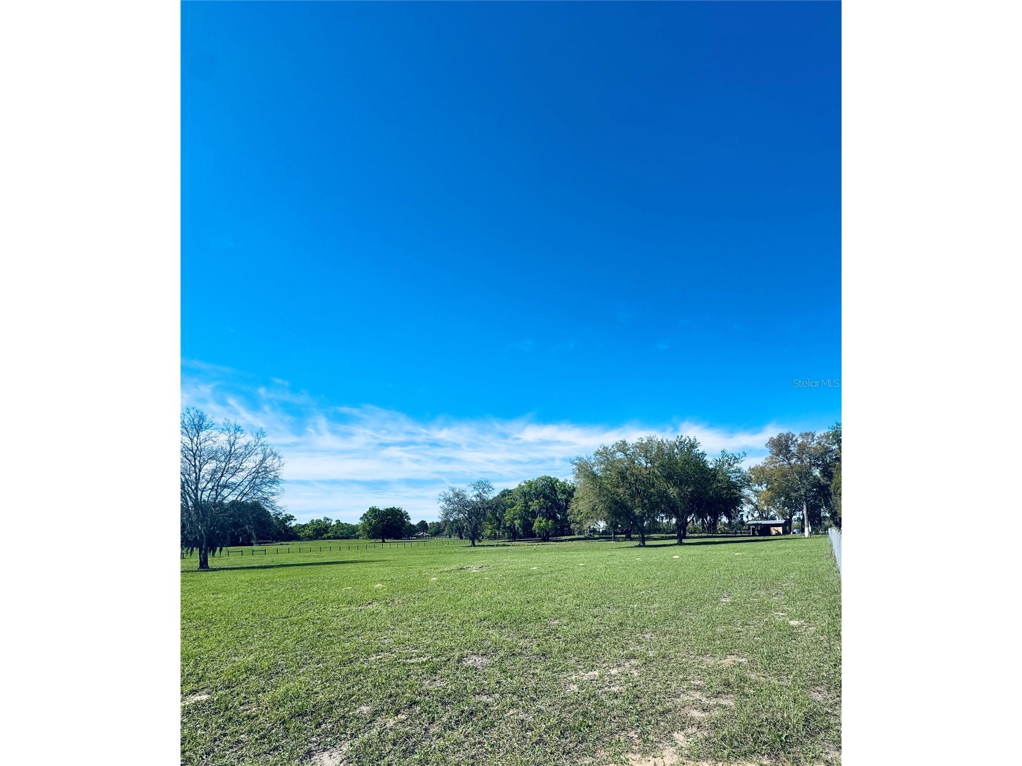 Lot #7 SE 66th Place Morriston FL 32668 OM721149 image6