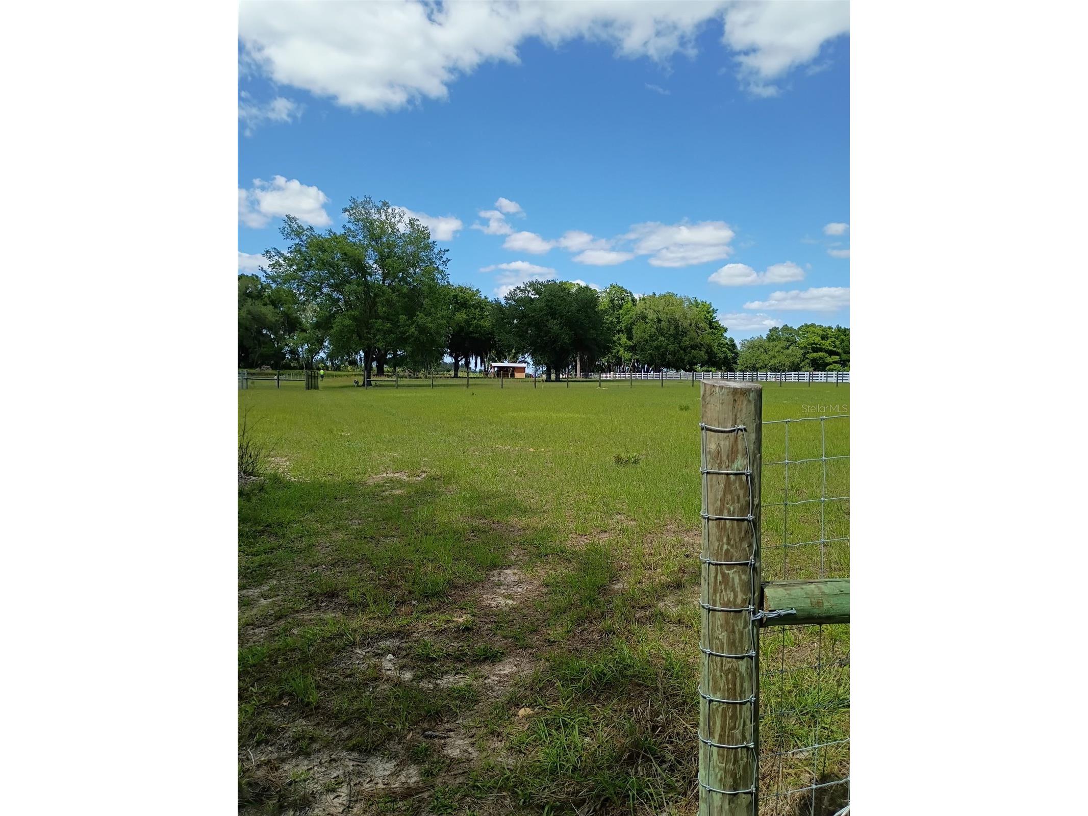 Lot #7 SE 66th Place Morriston FL 32668 OM721149 image7
