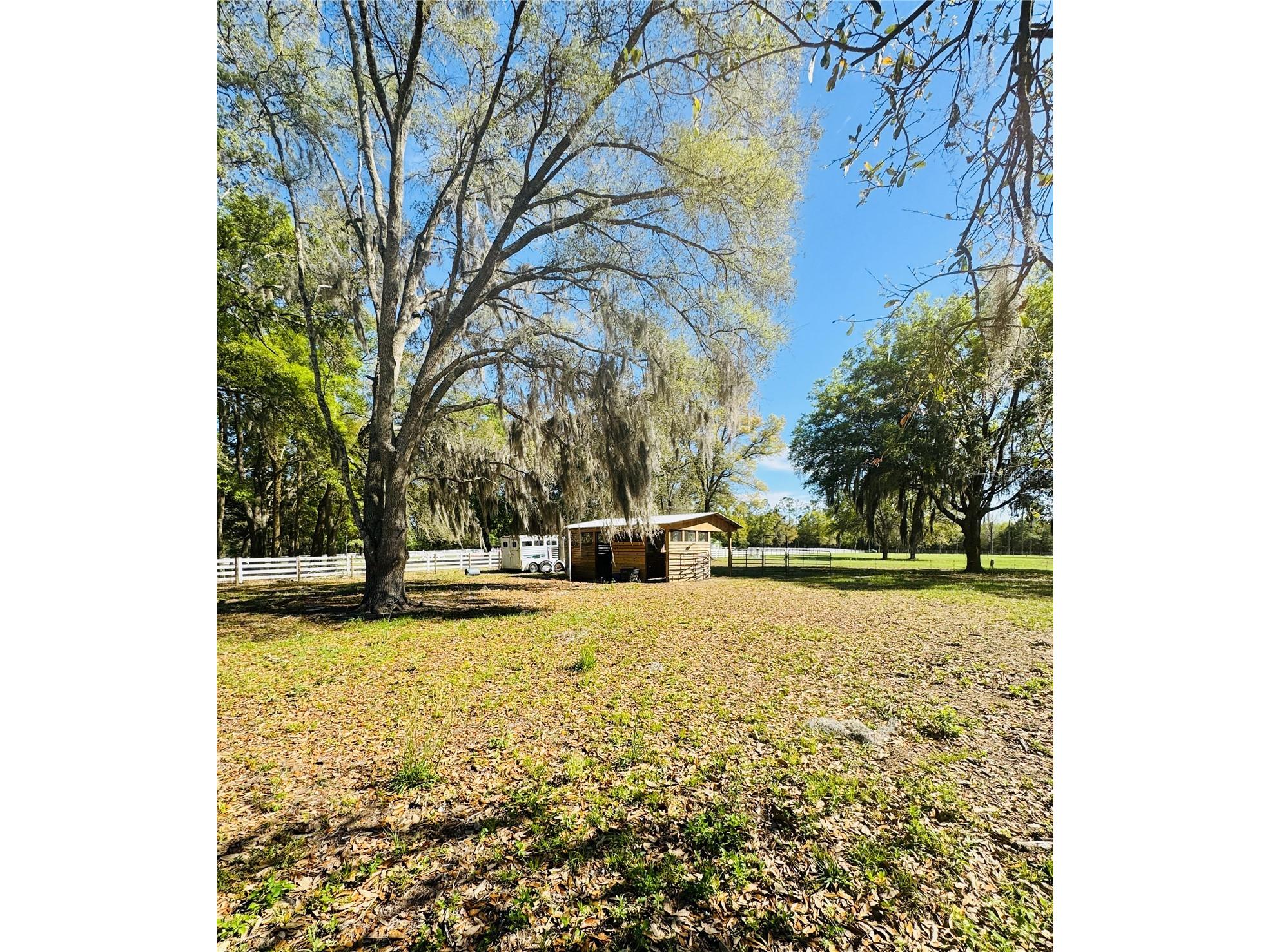 Lot #7 SE 66th Place Morriston FL 32668 OM721149 image8
