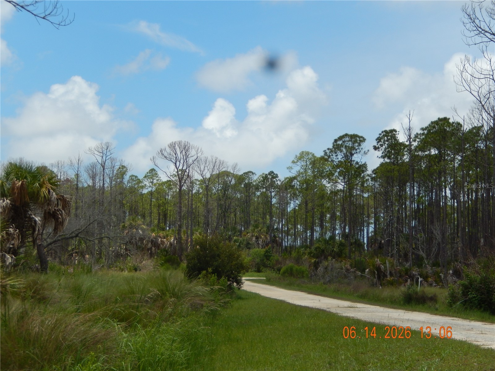 Lot 7 SW 104 Street Cedar Key FL 32625 GC525755 image7