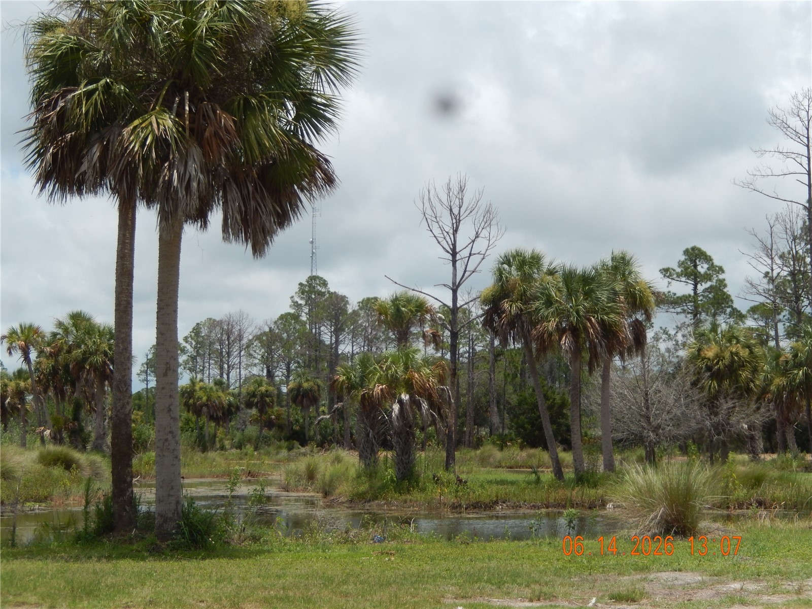 Lot 7 SW 104 Street Cedar Key FL 32625 GC525755 image9