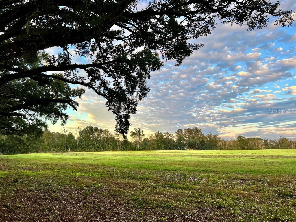 Lot 7 SW 15th Avenue Newberry FL 32669 GC510473 image1