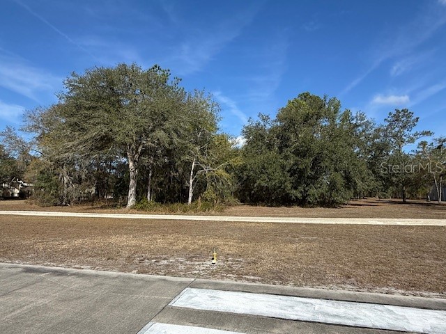 Lot 7 SW 39th Drive Lake Butler FL 32054 - SANTE FE RIVER GC536465 image1