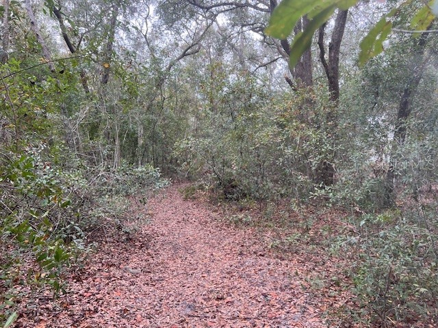 Lot 7 SW 48th Terrace Lake Butler FL 32054 GC526915 image1