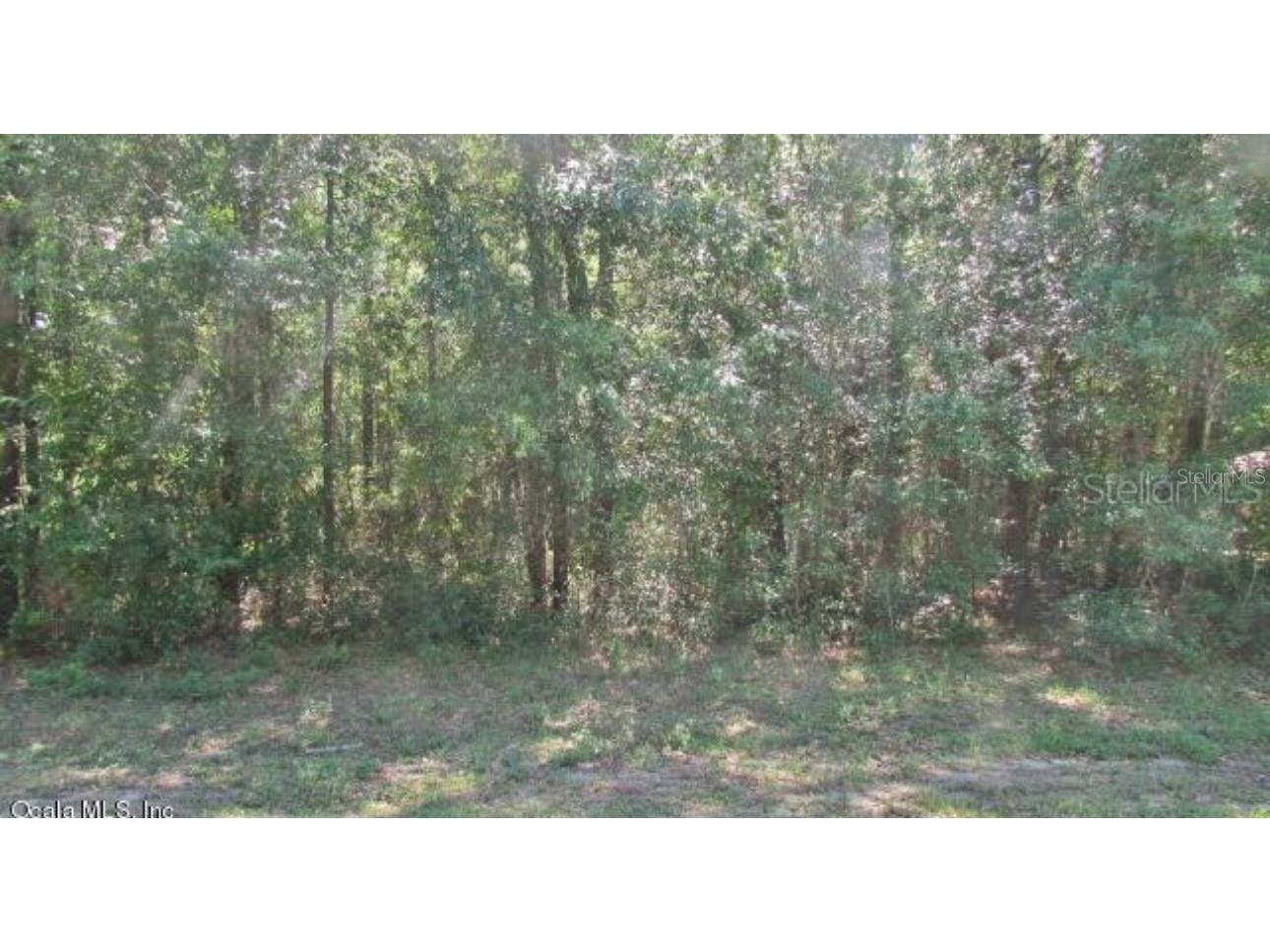 Lot 7 SW Sw 197th Court Road Dunnellon FL 34432 - RAINBOW RIVER OM666326 image1