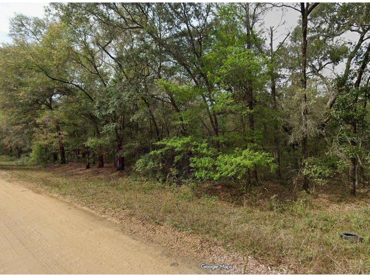 Lot 7 Unit 7 Blk 42 Buckles Avenue Interlachen FL 32148 OM727826 image1