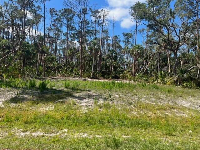 Lot 73 Greenley Road North Port FL 34286 T3441758 image1