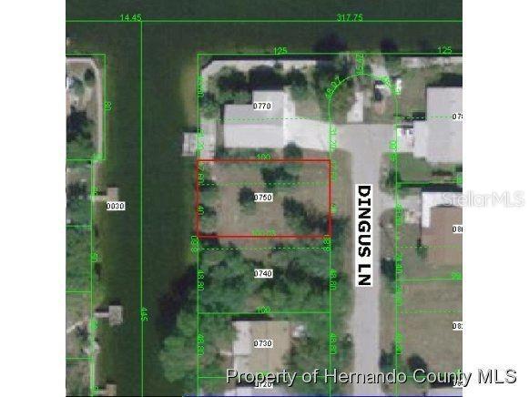 Lot 75 Dingus Lane Hudson FL 34667 - GULF OF MEXICO W7831076 image1