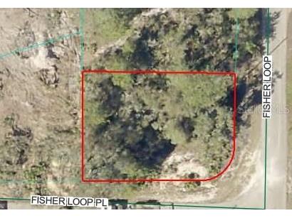 Lot 76 Fisher Loop Ocklawaha FL 32179 OM722228 image1