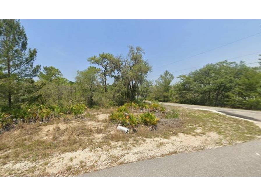 Lot 76 Fisher Loop Ocklawaha FL 32179 OM722228 image4