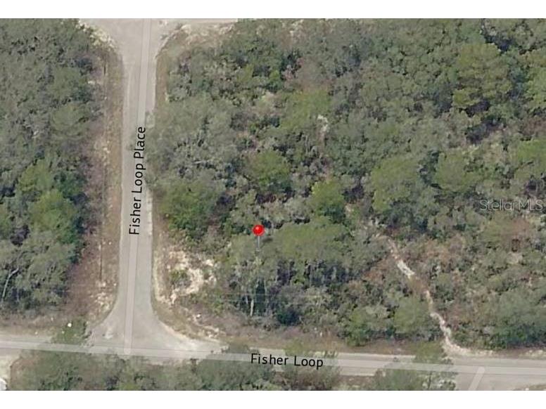 Lot 76 Fisher Loop Ocklawaha FL 32179 OM722228 image7