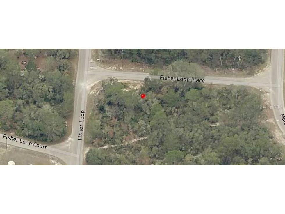 Lot 76 Fisher Loop Ocklawaha FL 32179 OM722228 image8