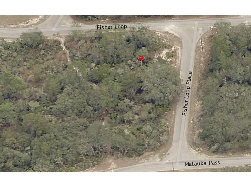 Lot 76 Fisher Loop Ocklawaha FL 32179 OM722228 image9