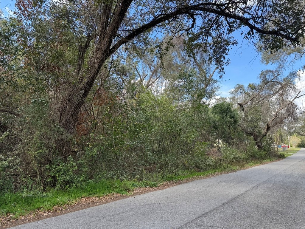 Lot 76 Idle A While Circle Dade City FL 33523 A4641036 image1