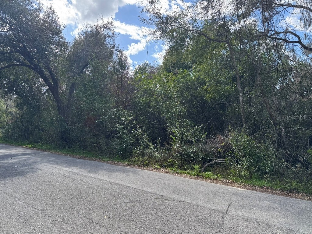 Lot 76 Idle A While Circle Dade City FL 33523 A4641036 image10