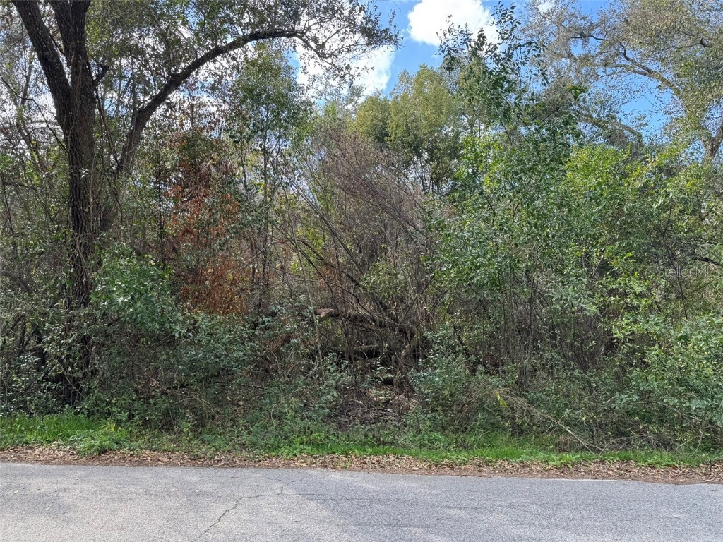 Lot 76 Idle A While Circle Dade City FL 33523 A4641036 image2