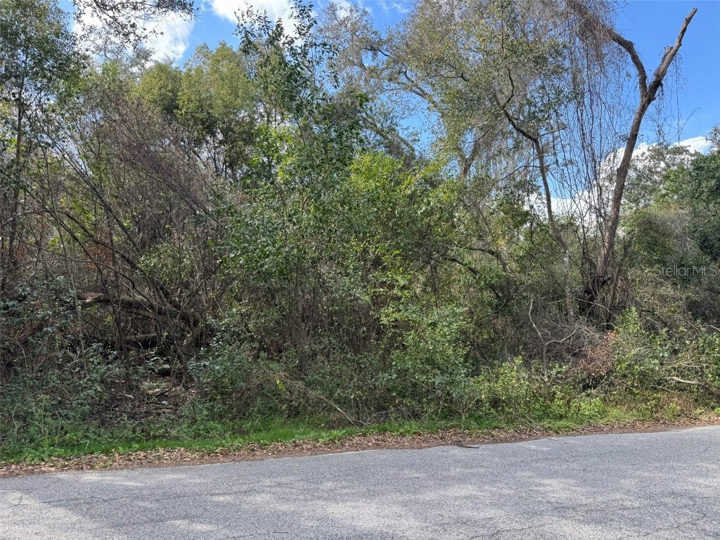 Lot 76 Idle A While Circle Dade City FL 33523 A4641036 image3