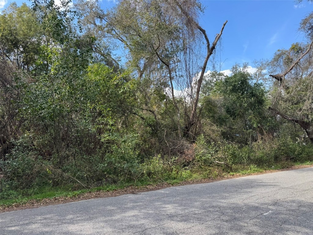 Lot 76 Idle A While Circle Dade City FL 33523 A4641036 image4