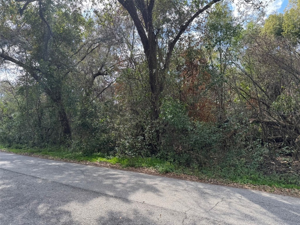 Lot 76 Idle A While Circle Dade City FL 33523 A4641036 image5
