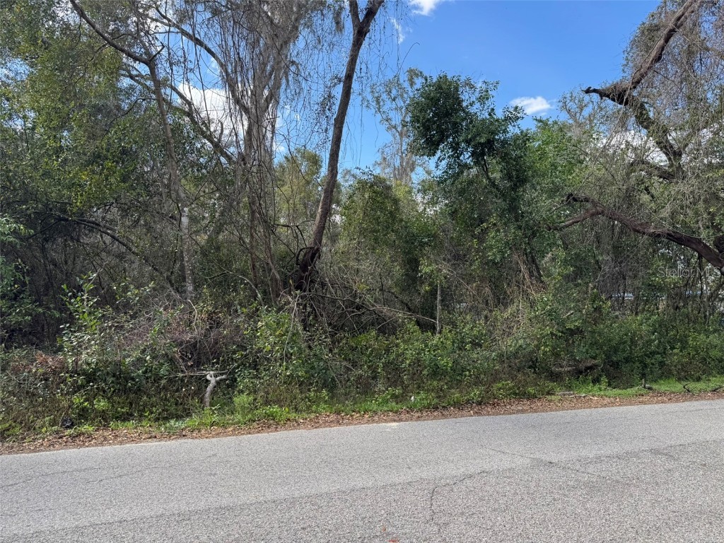 Lot 76 Idle A While Circle Dade City FL 33523 A4641036 image6
