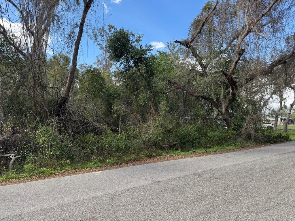Lot 76 Idle A While Circle Dade City FL 33523 A4641036 image7