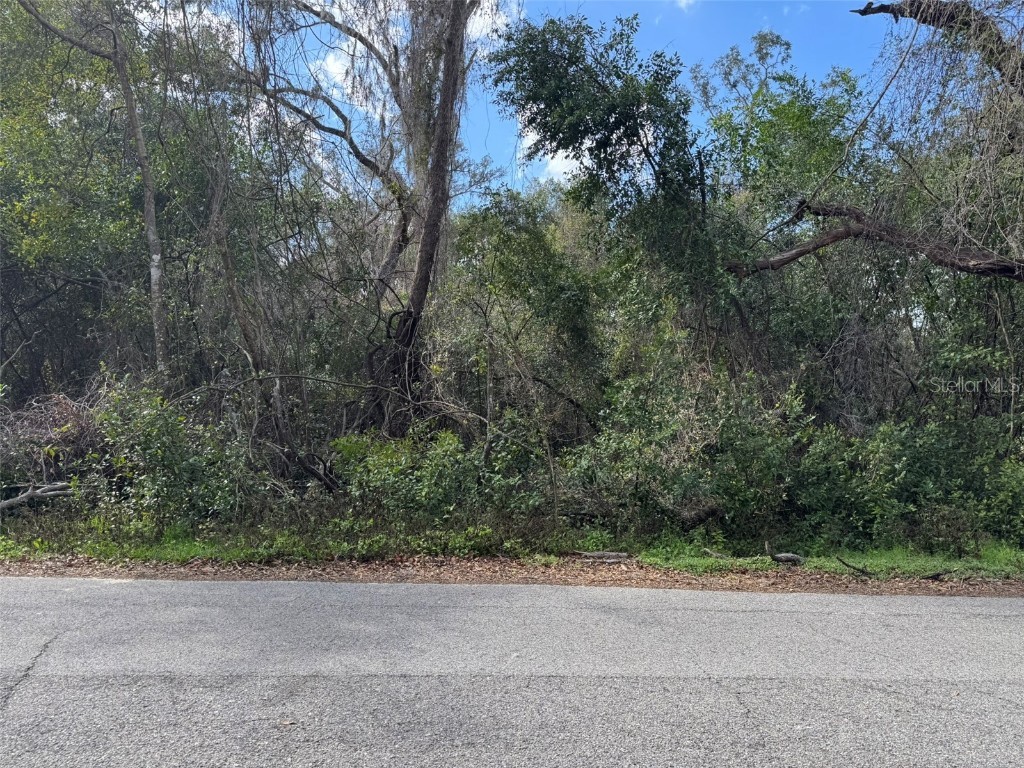 Lot 76 Idle A While Circle Dade City FL 33523 A4641036 image8