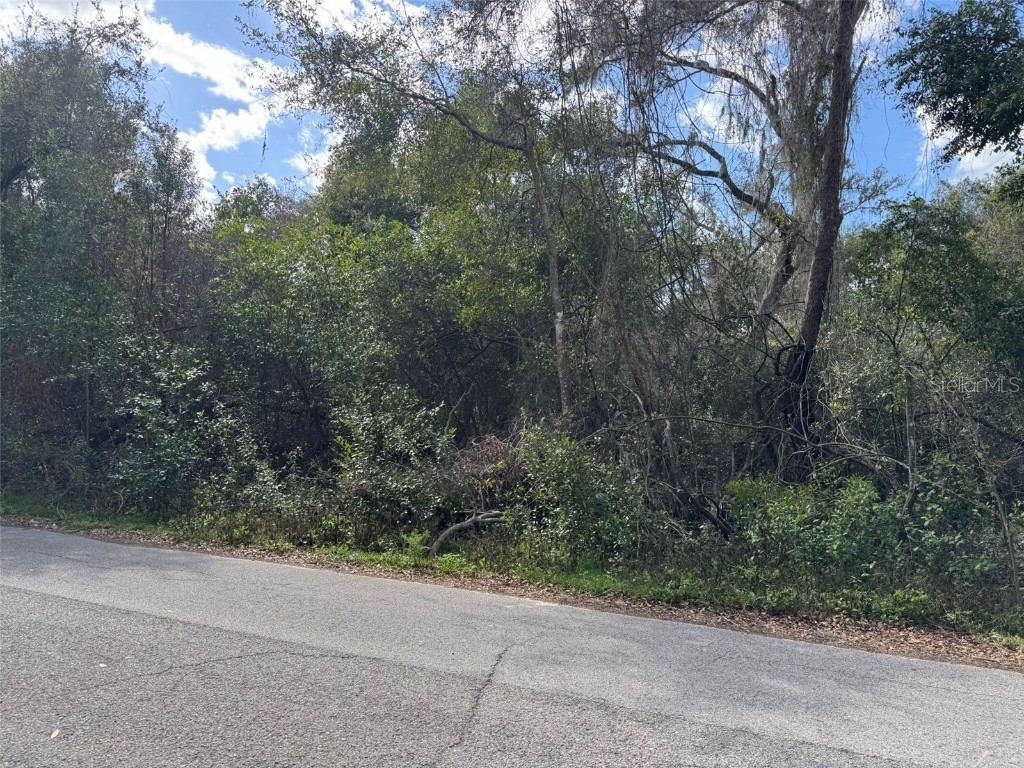 Lot 76 Idle A While Circle Dade City FL 33523 A4641036 image9