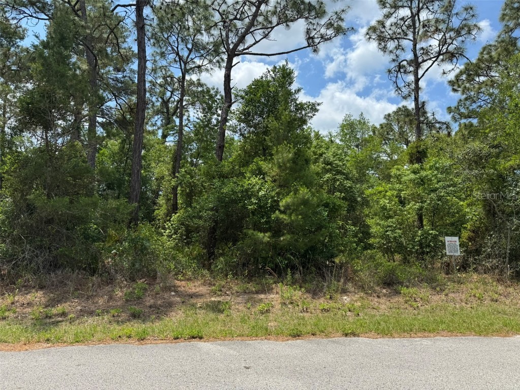 Lot 77 Waterbird Way Brooksville FL 34613 A4653060 image1