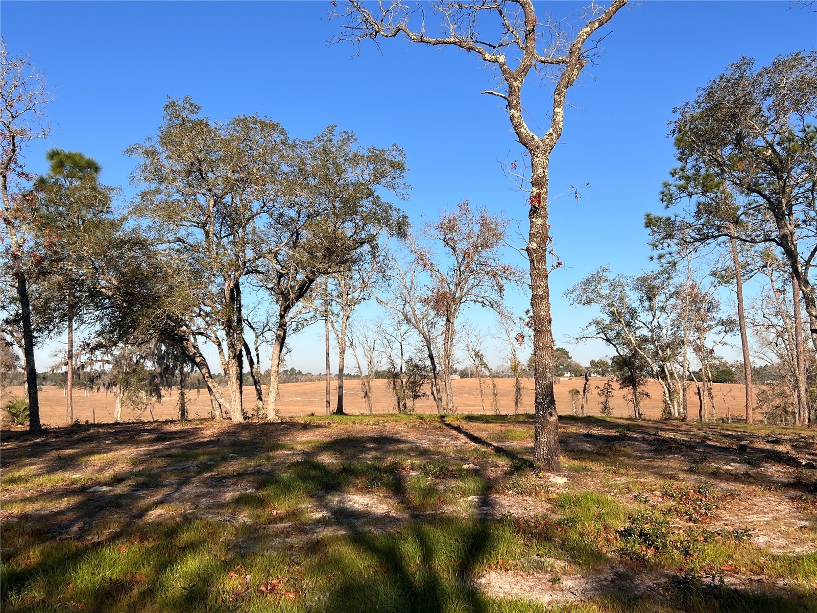 Lot 8 125th Court Dunnellon FL 34431 OM717476 image1