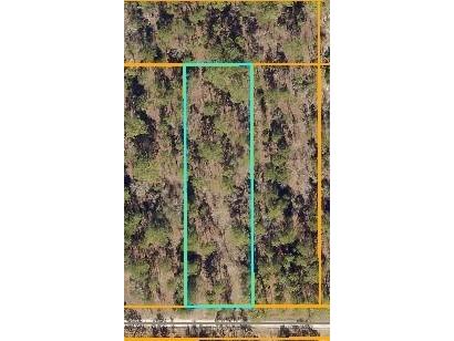Lot 8 66th Lane Dunnellon FL 34431 A4576517 image1