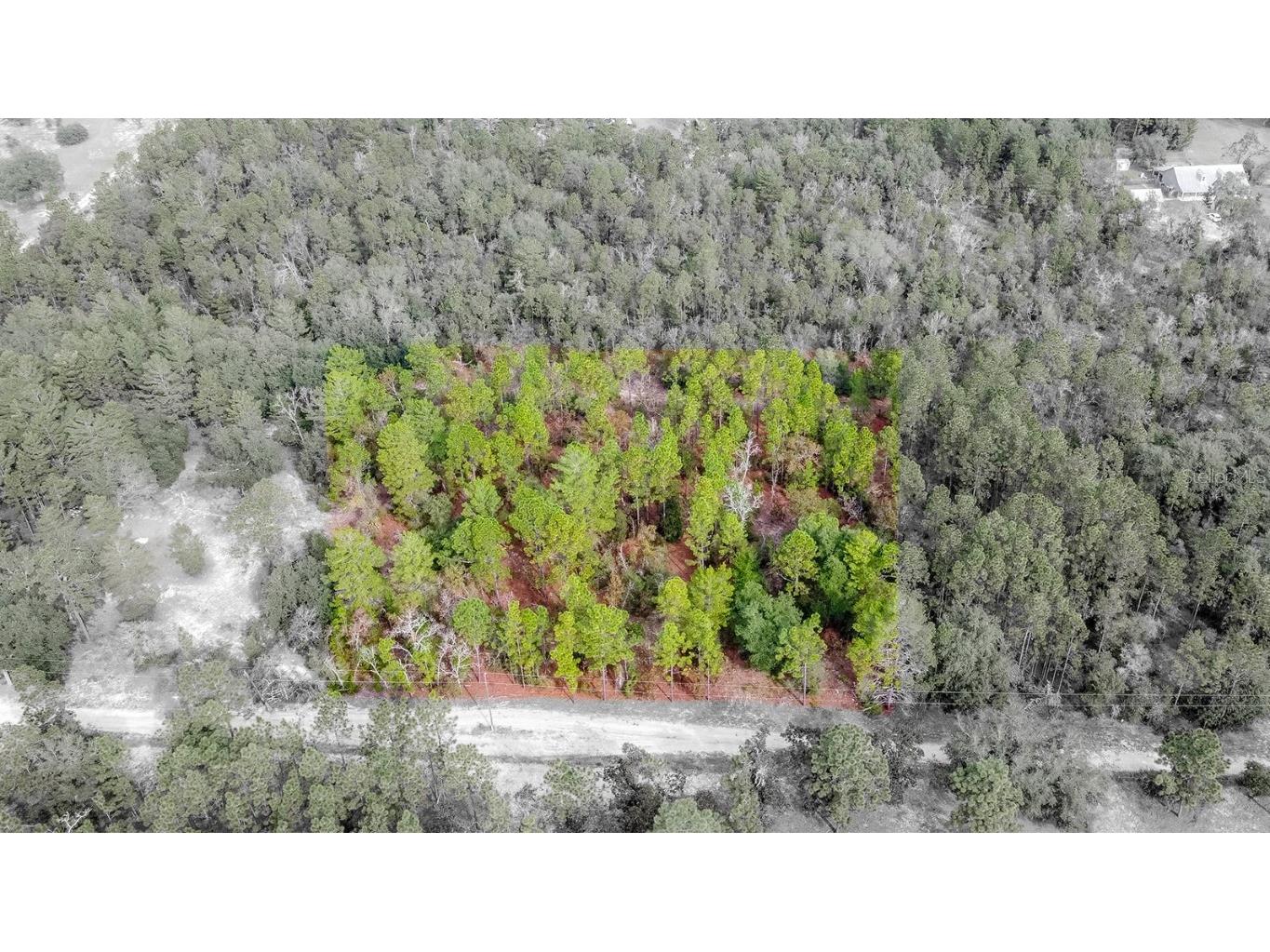 Lot 8 & 9 Bellamy Road Melrose FL 32666 GC500851 image1