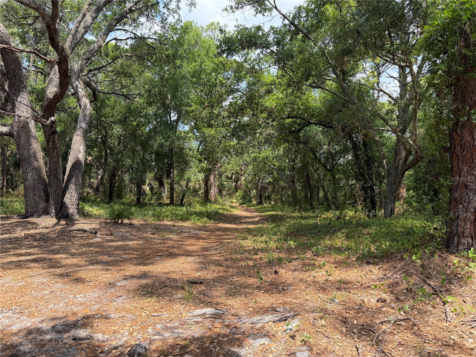 Lot 8 & 9 Nutmeg Avenue Sarasota FL 34231 A4694121 image23