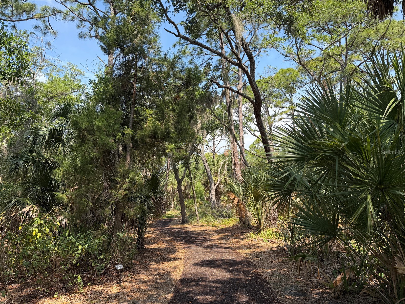 Lot 8 & 9 Nutmeg Avenue Sarasota FL 34231 A4694121 image26