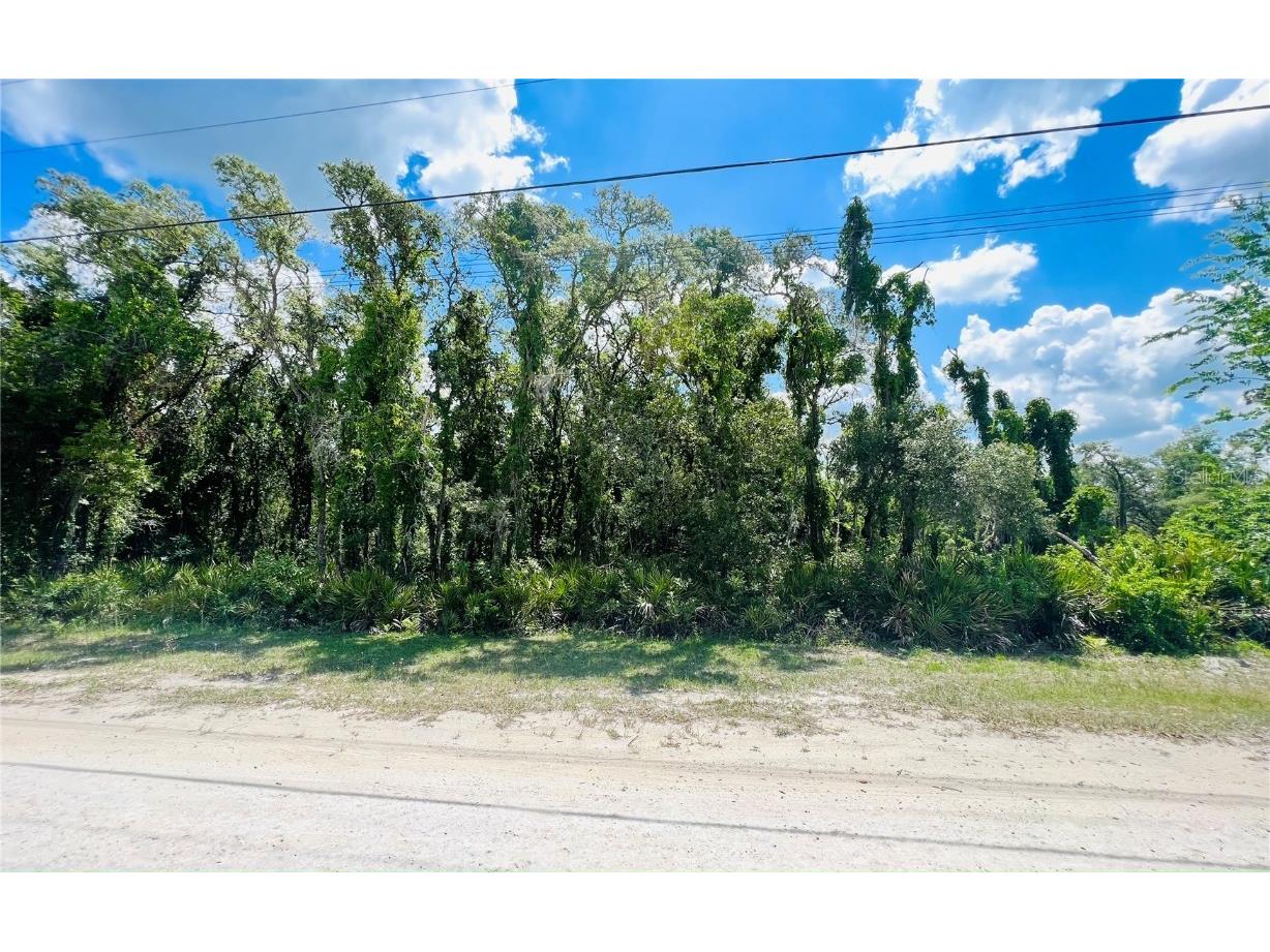 Lot 8 Cornerstone Drive Webster FL 33597 W7854951 image1