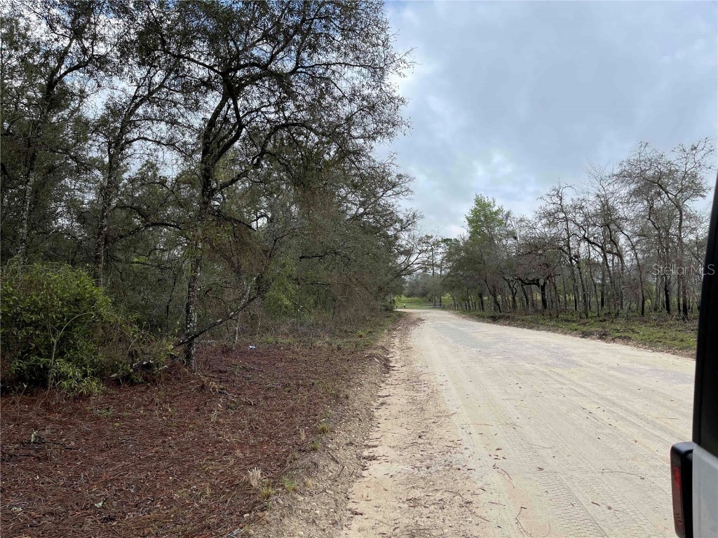 Lot 8 NE 120 Avenue Williston FL 32696 OM680188 image3