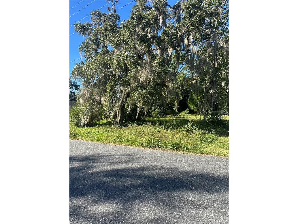 Lot 8 NE 1st Street Williston FL 32696 TB8441403 image1