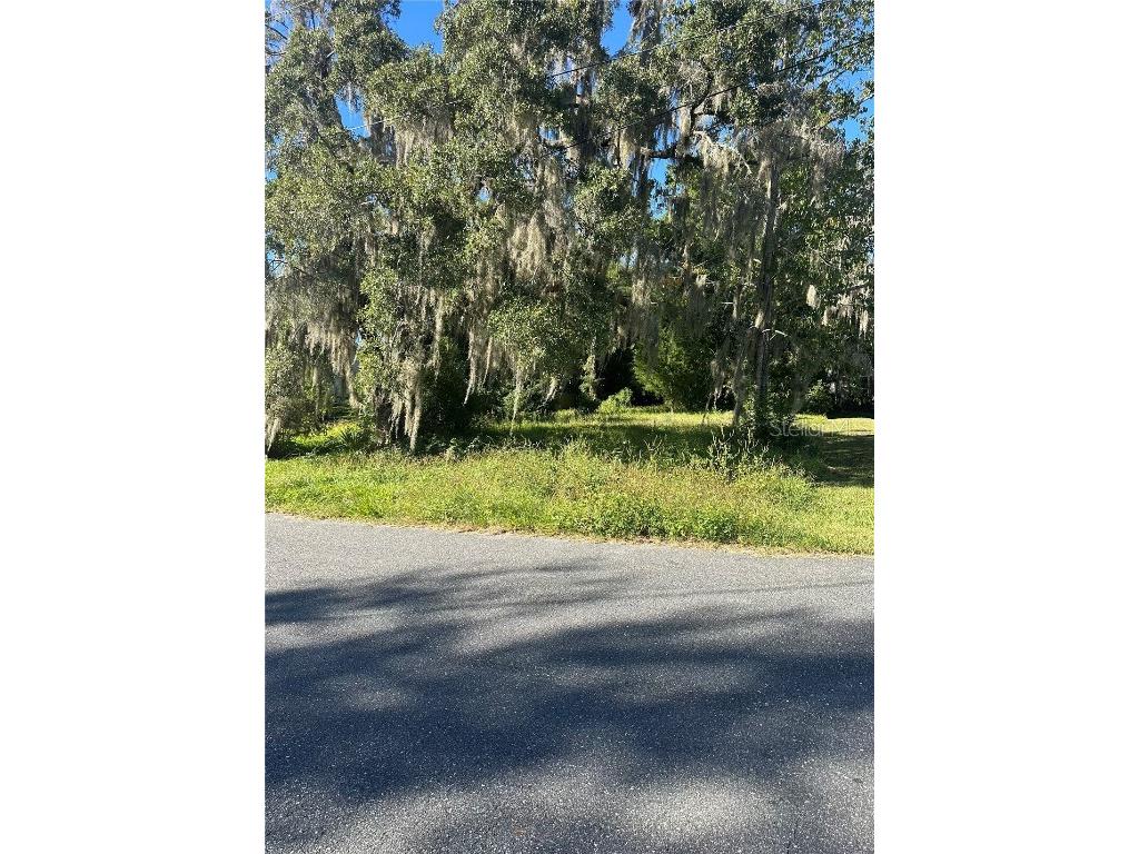 Lot 8 NE 1st Street Williston FL 32696 TB8441403 image2