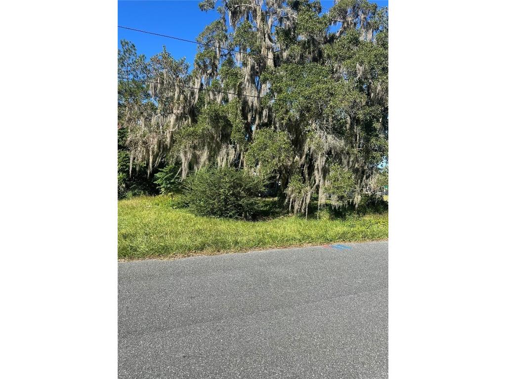 Lot 8 NE 1st Street Williston FL 32696 TB8441403 image3