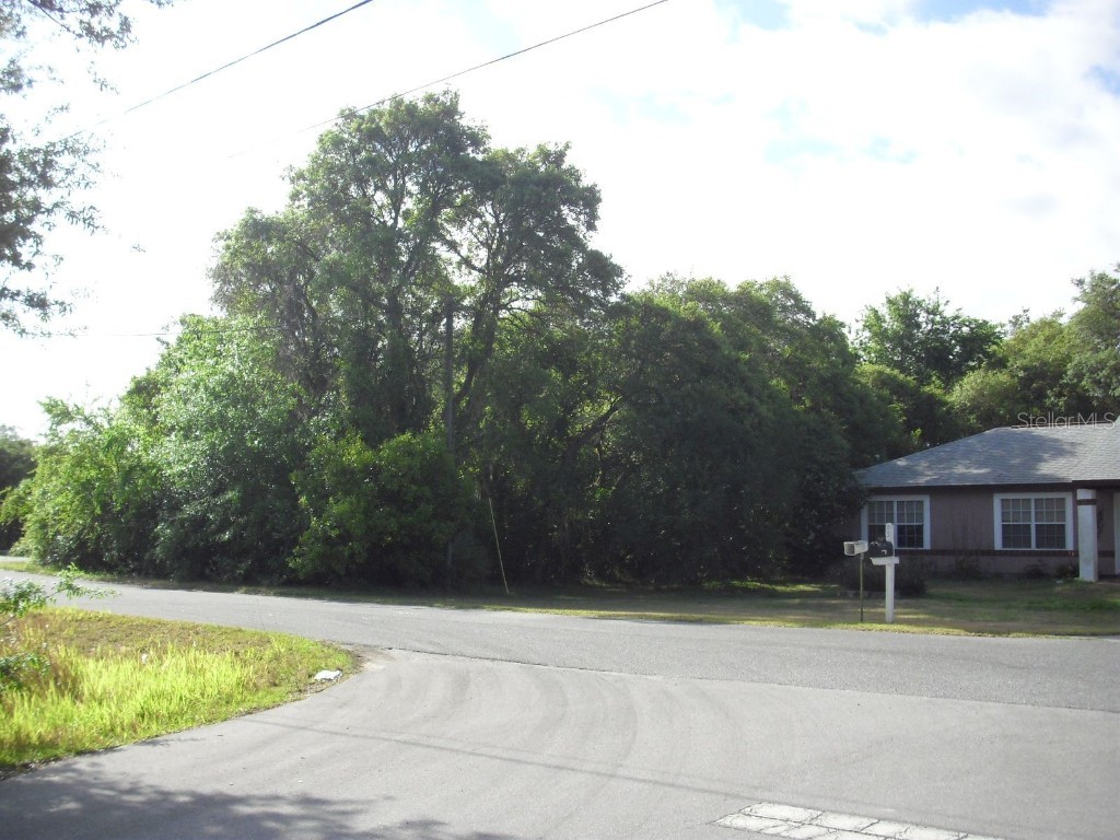 Lot 8 Olive Drive Ocala FL 34472 OM699925 image1