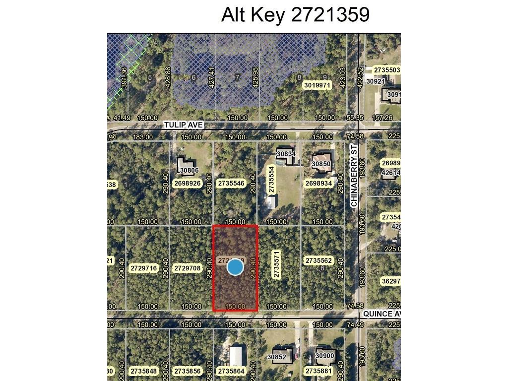 Lot 8 Quince Avenue Eustis FL 32736 - LAKE NORRIS O6034436 image1
